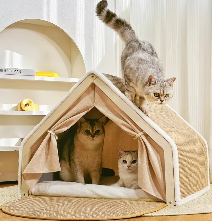 Tente pour chats