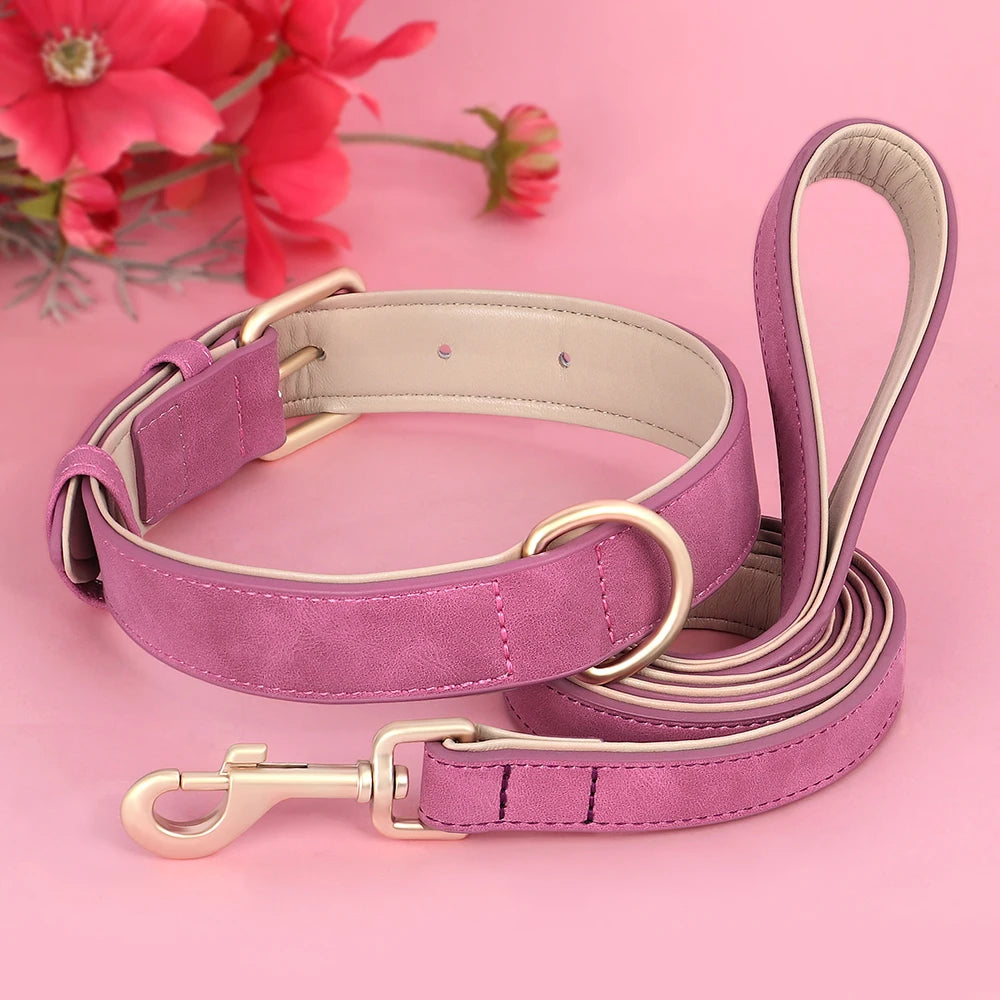 Ensemble collier et laisse en cuir
