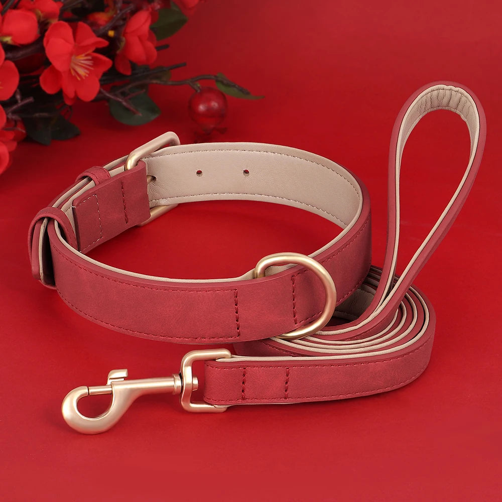 Ensemble collier et laisse en cuir