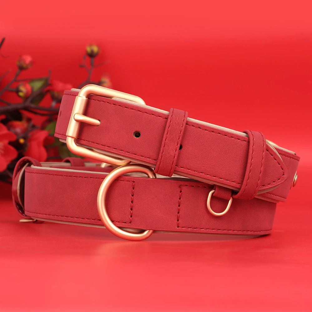 Ensemble collier et laisse en cuir