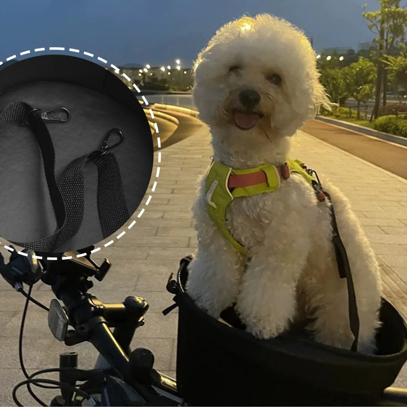 Panier vélo - Transport pour chien