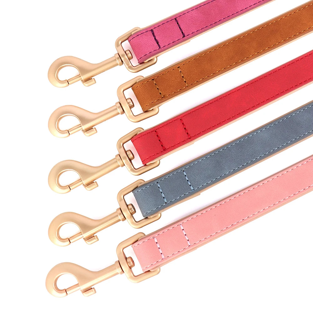 Ensemble collier et laisse en cuir