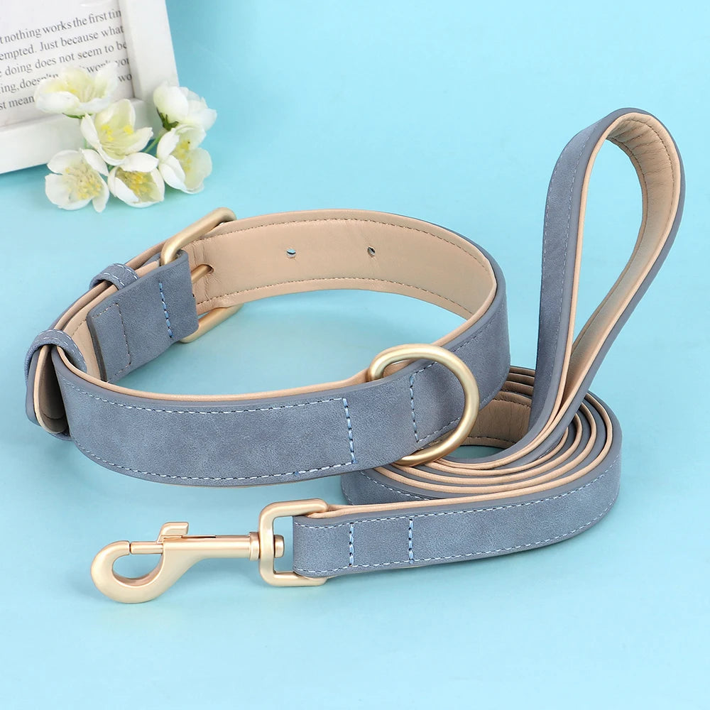 Ensemble collier et laisse en cuir