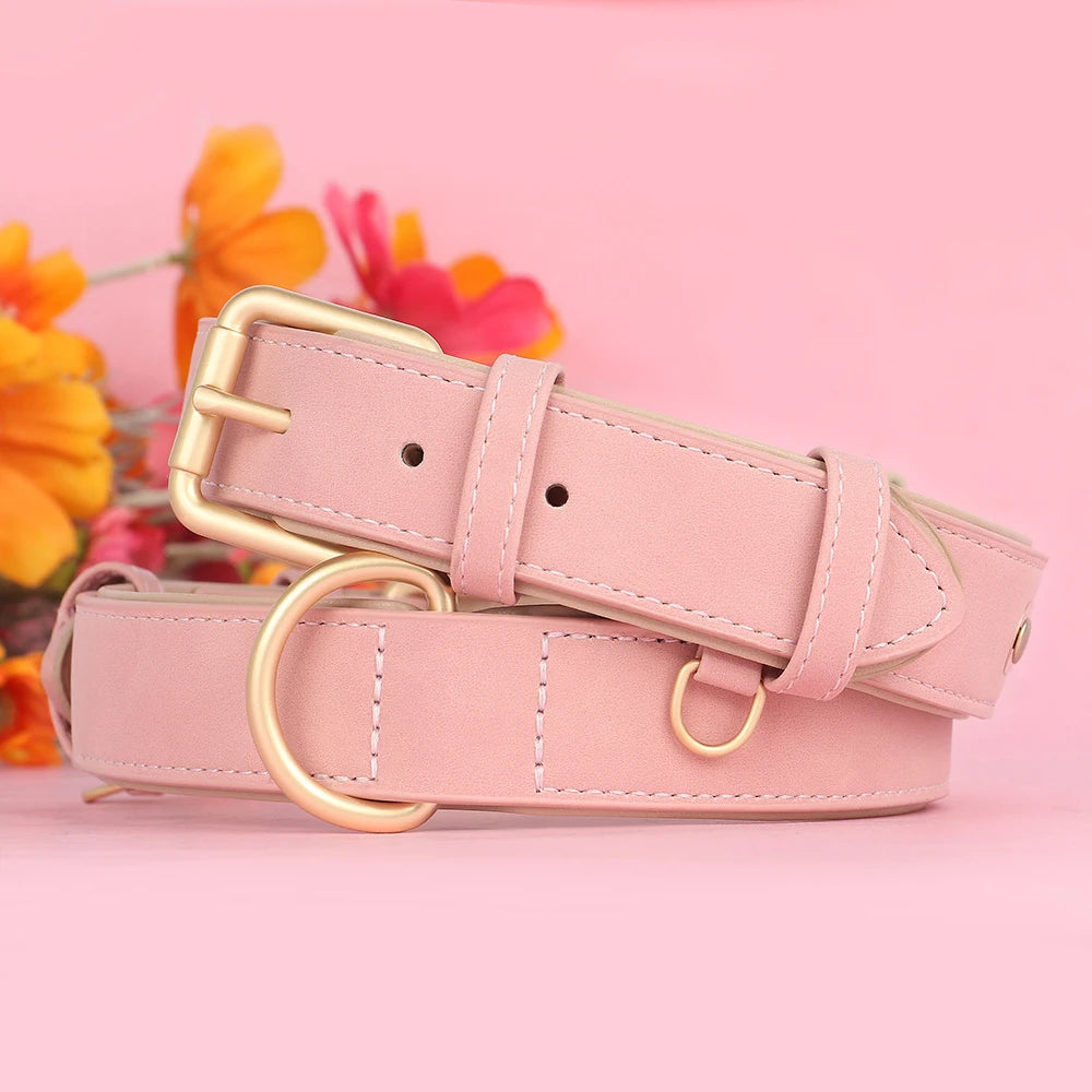 Ensemble collier et laisse en cuir