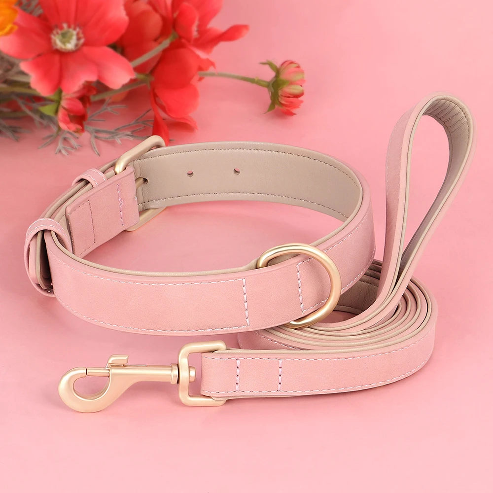Ensemble collier et laisse en cuir