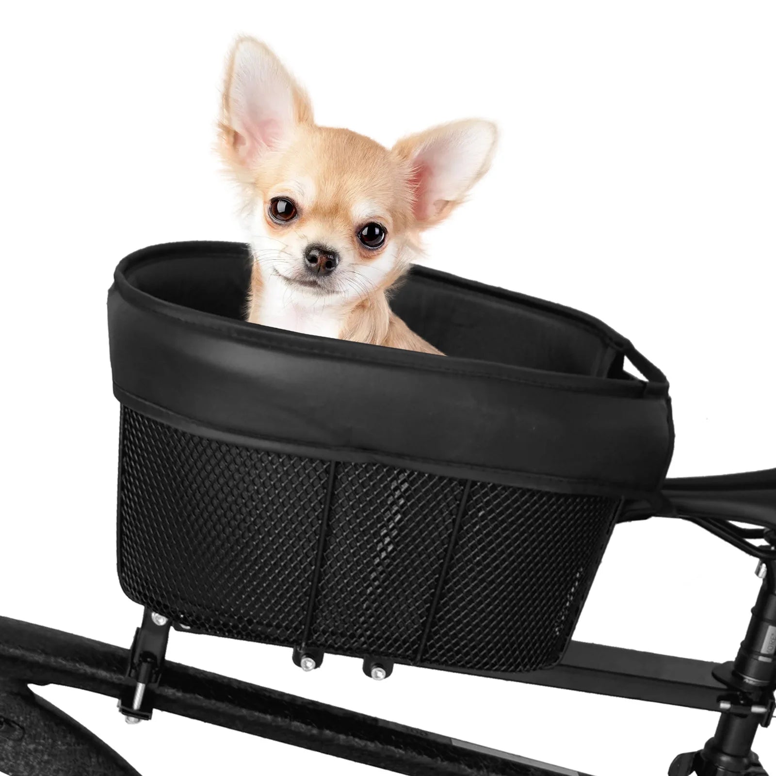 Panier vélo - Transport pour chien