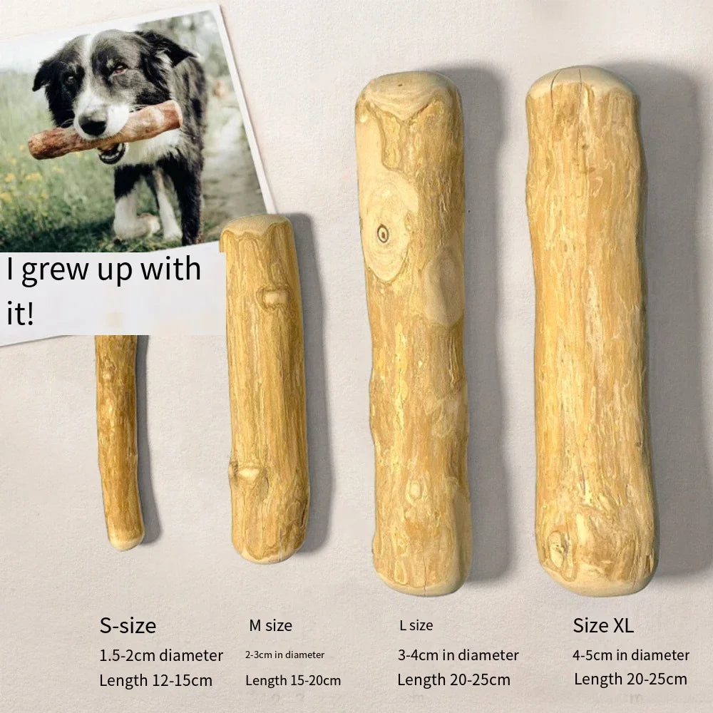 Bois à mâcher