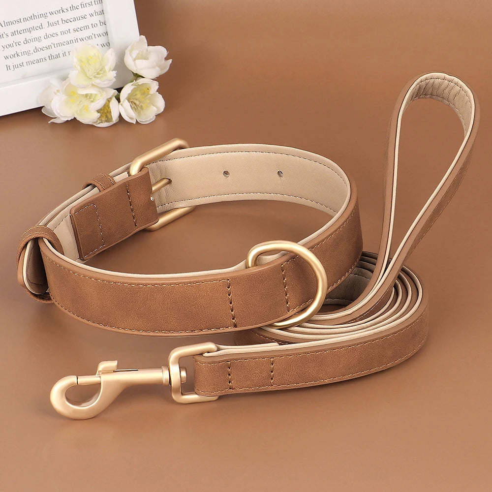 Ensemble collier et laisse en cuir