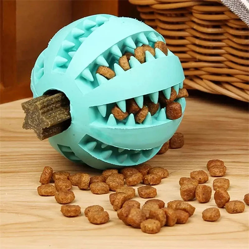 Jouets pour chiens