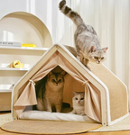 Tente pour chats