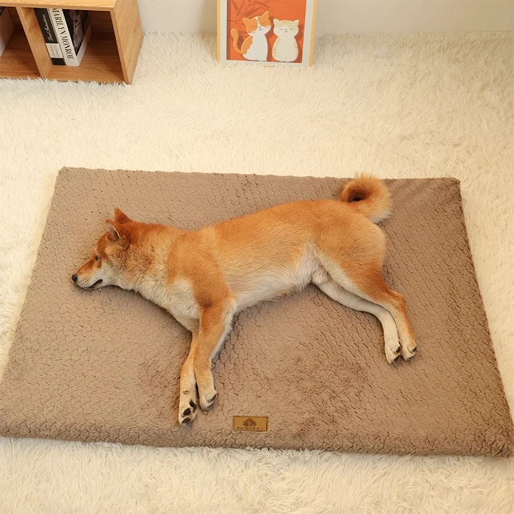 Tapis - Matelas orthopédique