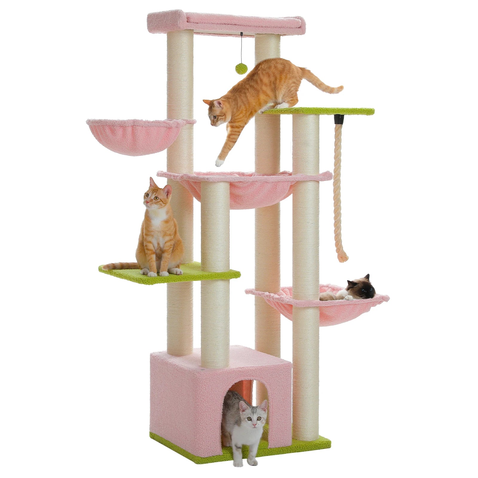 Arbre à chats - Premium