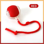 Balle interactive pour chat