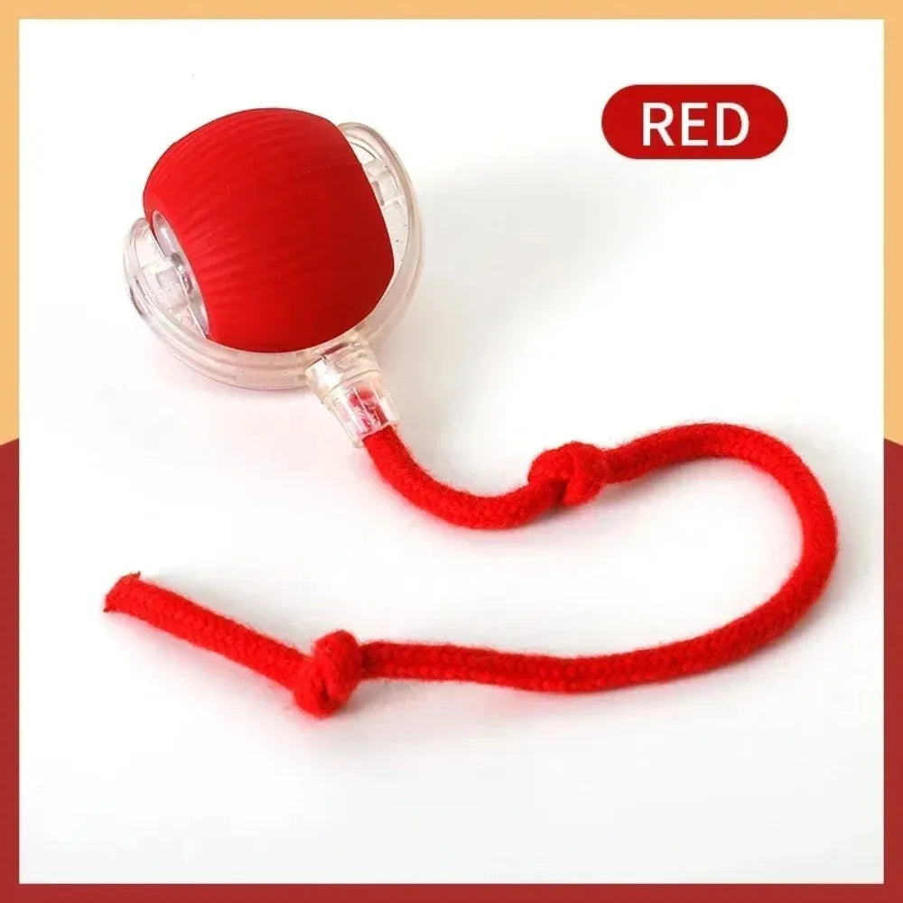 Balle interactive pour chat