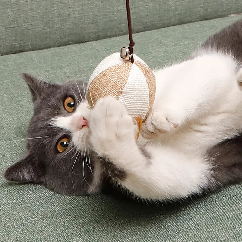 Canne à pêche pour chat