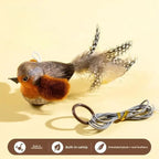 Oiseau avec cordelette