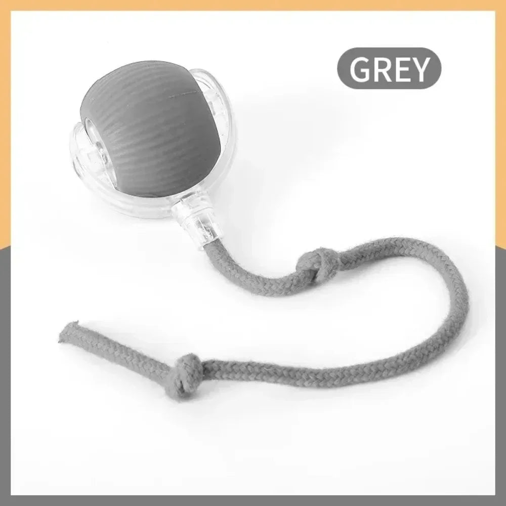 Balle interactive pour chat