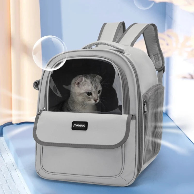 Sac à dos - Transport pour chiens et chats