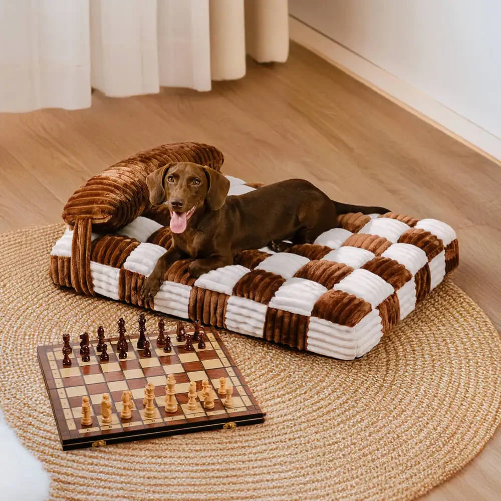 Tapis - Matelas orthopédique design