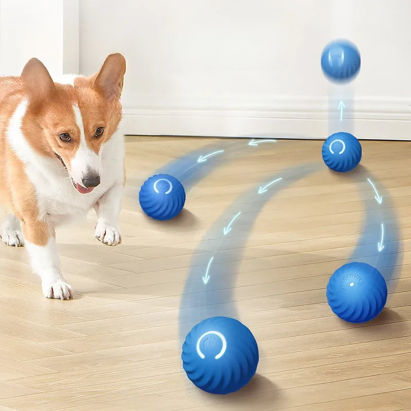 Balle interactive pour chien