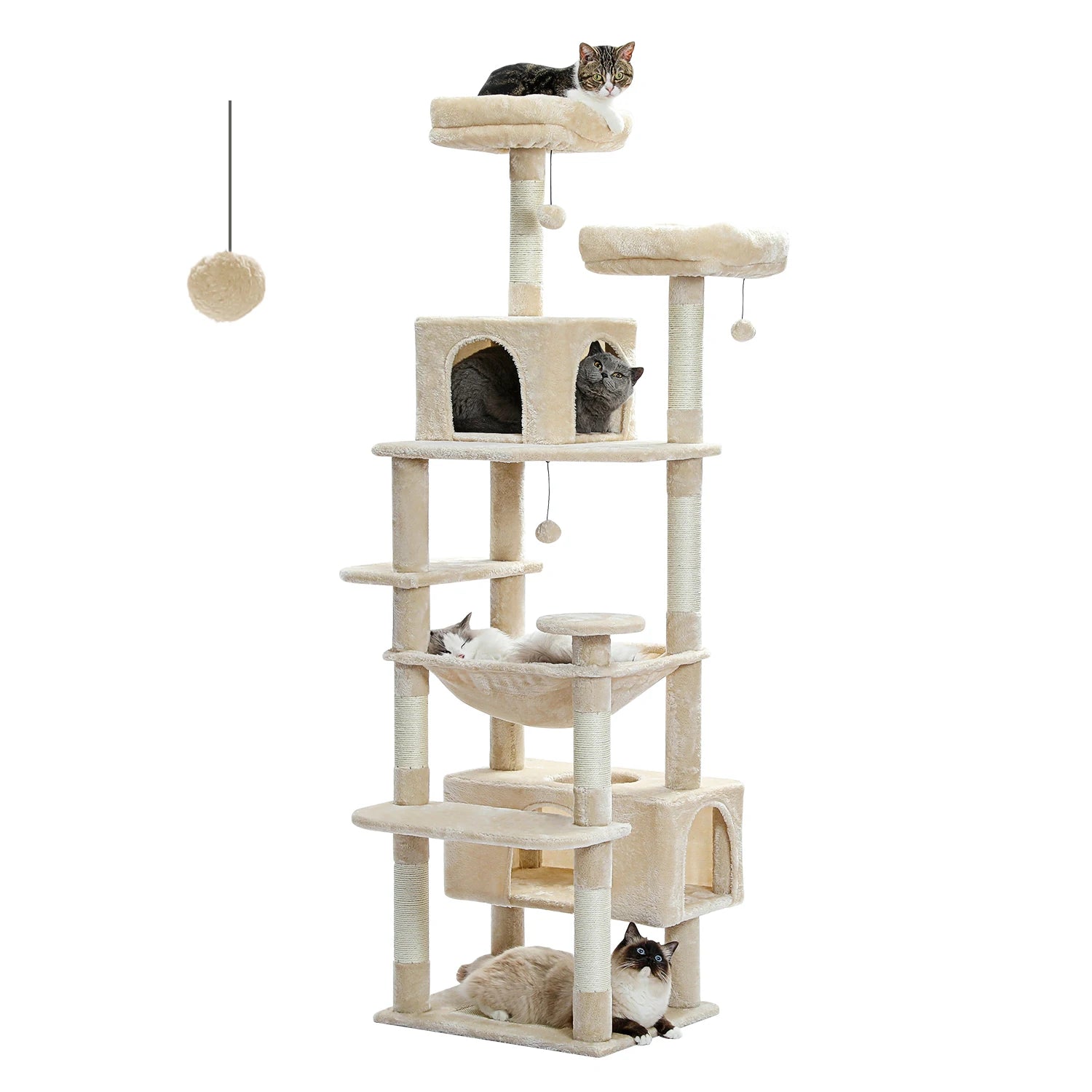 Arbre à chats