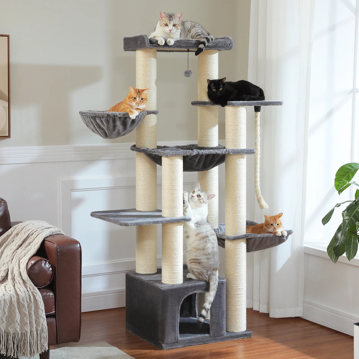 Arbre à chats - Premium