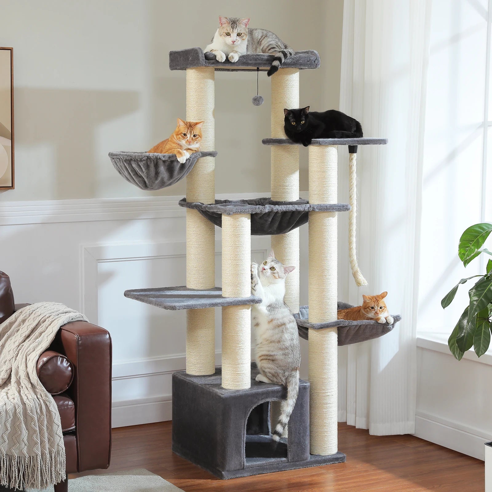 Arbre à chats - Premium
