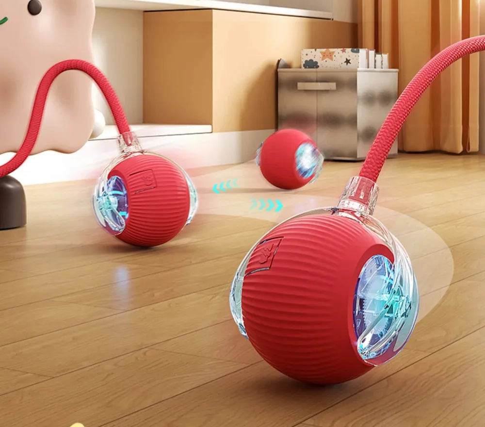 Balle interactive pour chat
