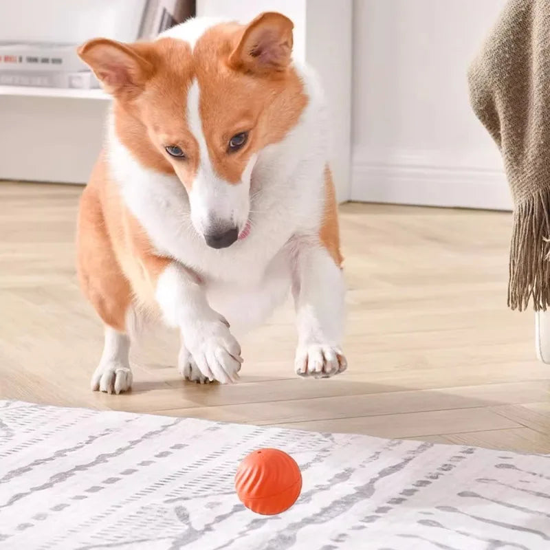 Balle interactive pour chien