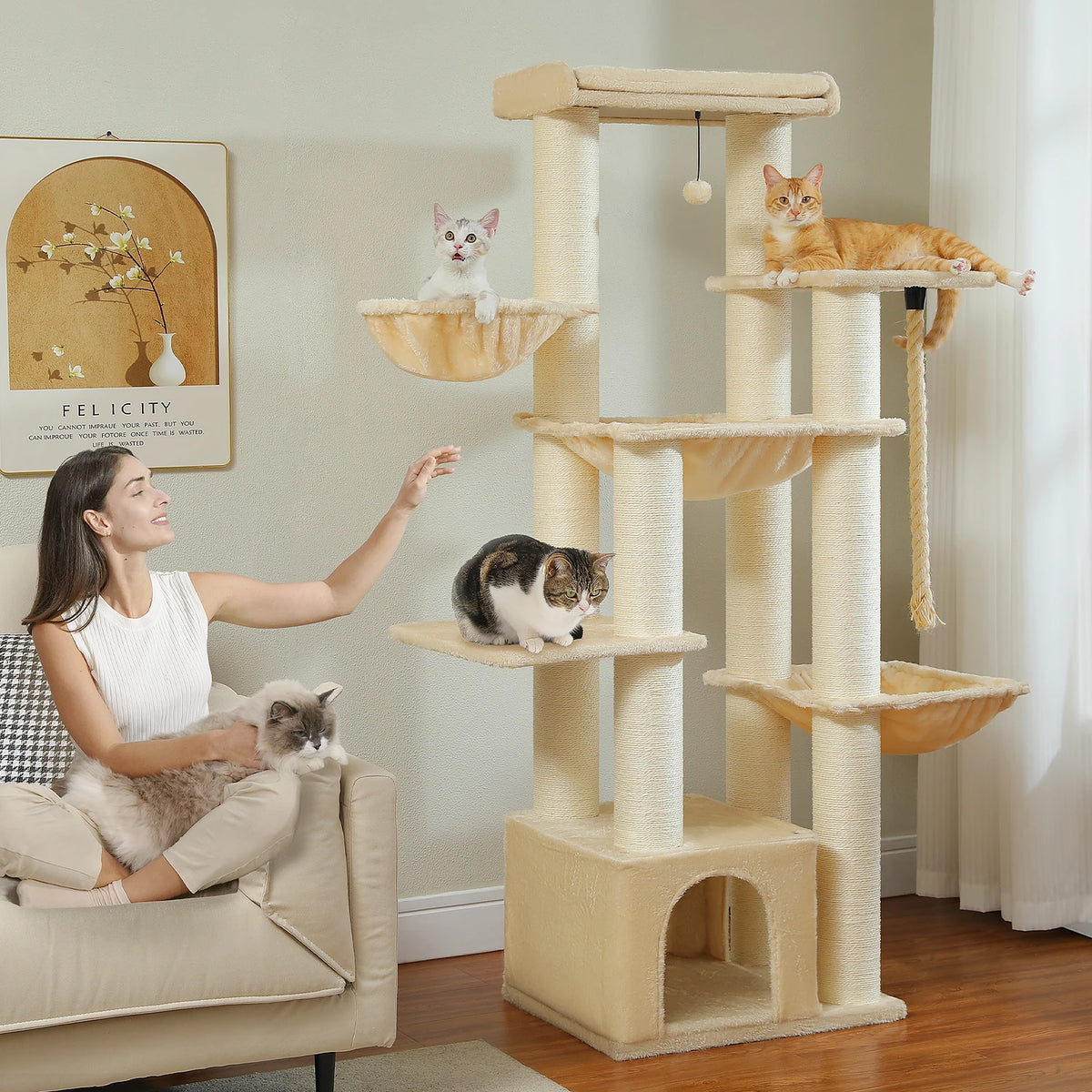 Arbre à chats - Premium