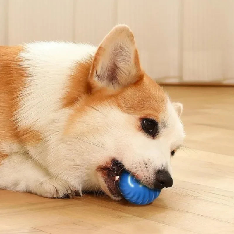 Balle interactive pour chien
