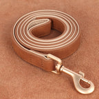 Laisse en cuir