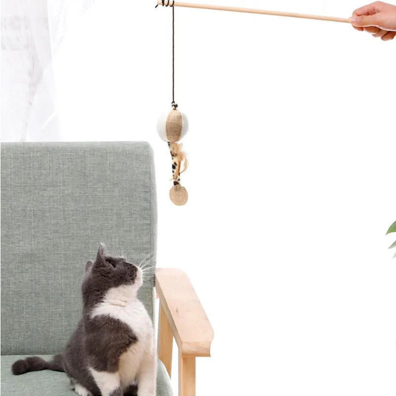 Canne à pêche pour chat