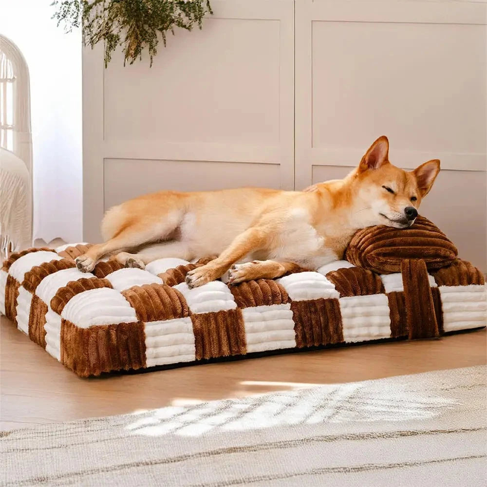 Tapis - Matelas orthopédique design