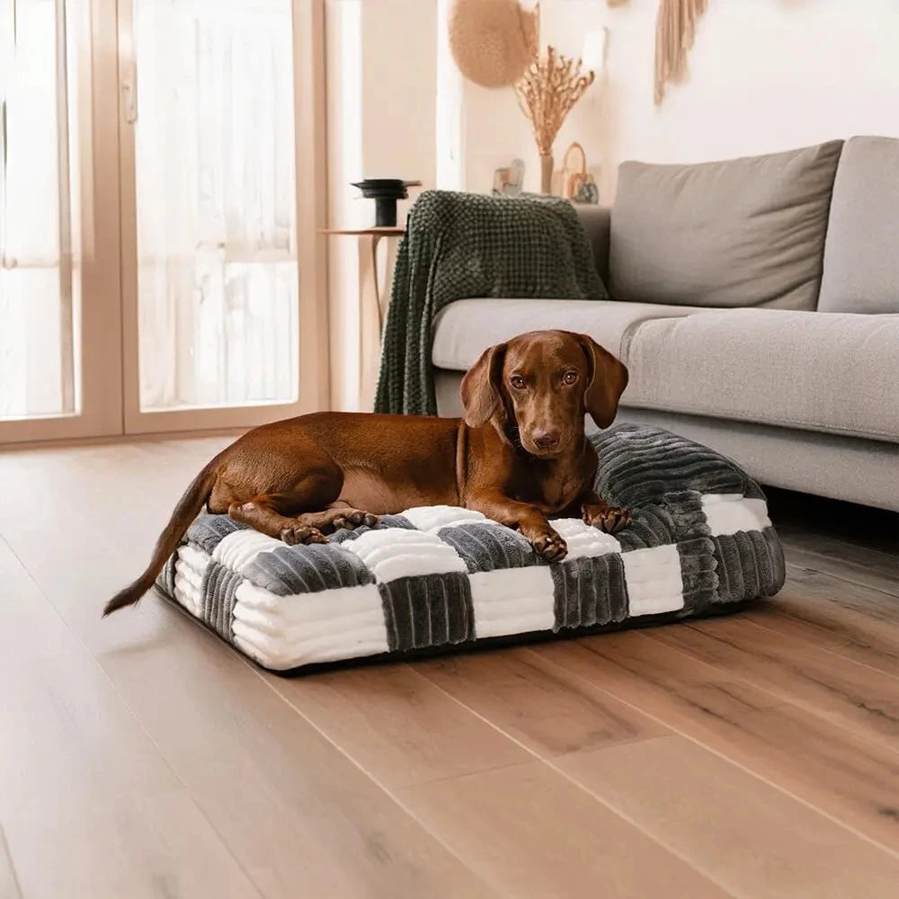 Tapis - Matelas orthopédique design