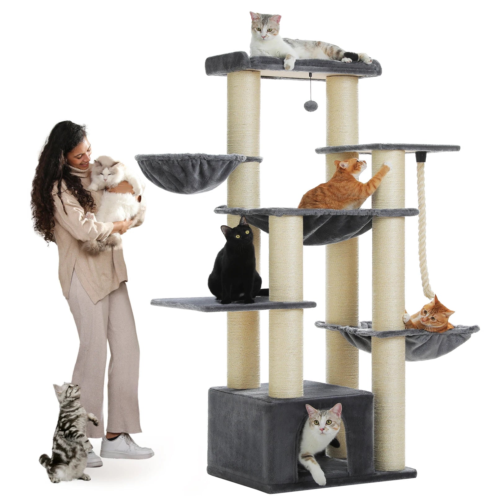 Arbre à chats - Premium