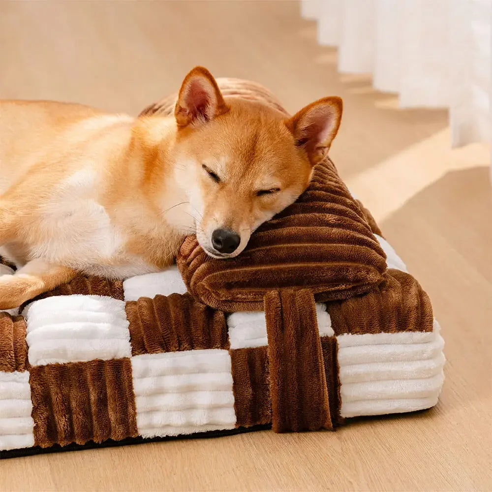 Tapis - Matelas orthopédique design