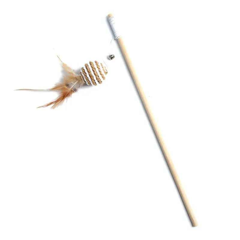Canne à pêche pour chat